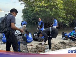 Aksi Massa Pandawara Bersih-bersih Pantai Binongko Labuan Bajo