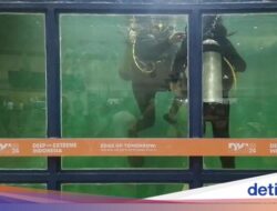 Menjajal Scuba Diving Ke Kolam Renang Mini Untuk Kontainer