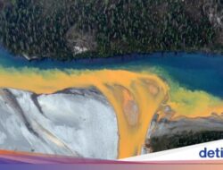 Sungai-sungai Ke Sini Berubah Warna Karena Itu Oranye, Alasannya Bikin Kaget