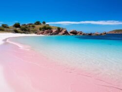 5 Pantai Pink Terindah Di Dunia, Indonesia Masuk Daftar