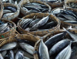 5 Produk Unggulan yang Diimpor Indonesia Untuk Rusia, Ada Pupuk hingga Ikan