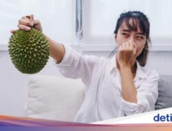 5 Tips Hilangkan Aroma Menyengat Durian, Mitos atau Fakta?