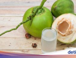 Apakah Air Kelapa Bermanfaat Untuk Menurunkan Trigliserida? Ini Penjelasannya