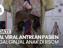 RSCM dan IDAI Bantah Adanya Lonjakan Perkara Hukum Hukum Gagal Ginjal Anak