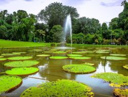 7 Tempat Wisata Ke Bogor Untuk Liburan Singkat Bareng Keluarga