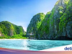 Maya Bay Tutup Pada 2 Bulan!