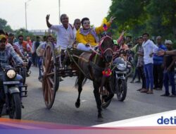 Serunya Lomba Balap Kereta Kuda Tradisional Di India