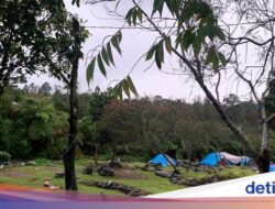 4 Tempat Camping Hingga Cibodas, Suguhkan Pemandangan Indah dan Udara yang Sejuk