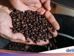 Cegah Krisis, Peneliti Kembangkan Minuman Kafein yang Konsisten Pemanasan Global