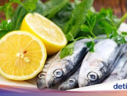 3 Ikan yang Punya Kalsium Tinggi, Baik Untuk Kesejajaran Tulang