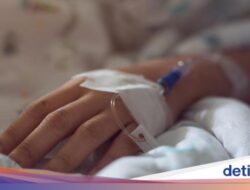 Banyak Anak Muda Kena Stroke-Penyakit Jantung Di RI, Praktisi Medis Ungkap Biang Keroknya