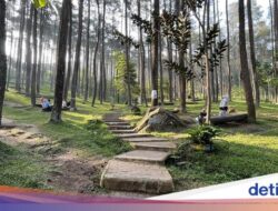 Suhu Bandung Karena Itu Lebih Dingin, Ini Penjelasan Ahli ITB