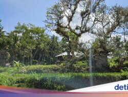 Ini Makam Dadong Guliang, Pengabdi Ilmu Hitam Abad 18 Ke Bali