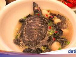 5 Permintaan Minuman Paling Aneh Kepala Negara Amerika yang Diungkap Pelayan Kepala Negara