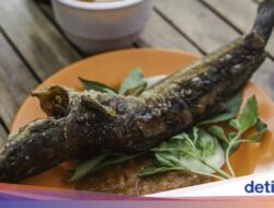 7 Dampak Makan Ikan Lele, Jantung yang Sehat hingga Risiko Radang Usus