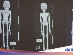 Perdebatan ‘Mumi Alien’ Ke Peru, Sidik Jarinya Disebut Tak Cocok Didalam Manusia