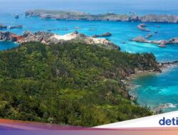 Seru! Jepang Berencana Gelar Event Petak Umpet Ke Pulau Tak Berpenghuni