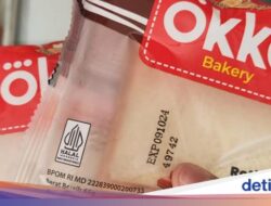 Praktisi Medis Imbau Waspadai Tanda-Tanda yang Bisa Muncul usai Makan Roti Okko Berpengawet Makeup