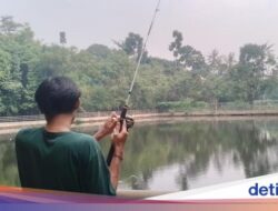 Hutan Kota Munjul Dari Sebab Itu Spot Unjuk Mancing dan Refreshing Warga