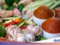 5 Tips Memperbaiki Metabolisme dan Keadaan Pencernaan