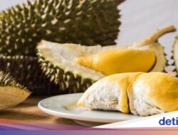 Tips Menghilangkan Bau Durian yang Menempel Ke Ruangan dan Kulkas