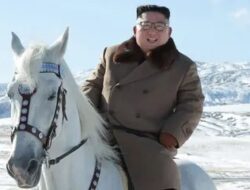 Beli Peluru Artileri Korea Utara, Putin Bayar Pakai 24 Ekor Kuda Ke Kim Jong-un