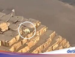 Anjing Ke Atas Piramida Itu Bukan Anubis, Melainkan Anjing Sungguhan