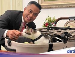 Bobby Kertanegara, Kucing Pribadi Prabowo yang Ikut Dampingi Hingga Istana