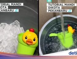 Viral Mandi Air Es Di Cuaca Panas, Apakah Aman? Ahli Kesejaganan Kardiovaskular Bilang Gini