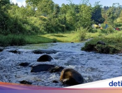 Gemericik Sungai Di Bumi Rancacangkuang Perkemahan Bandung, Hidden Gem!