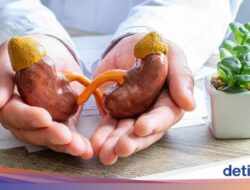 IDAI Sebut Anak Didalam Diabetes Lebih Rentan Terkena Gagal Ginjal, Ini Alasannya