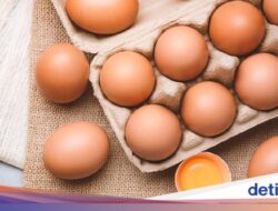 8 Konsumsi yang Mengandung Vitamin B12, Nomor 8 Murah dan Mudah Ditemukan