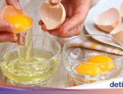 5 Manfaat Putih Telur Sebagai Keadaan, Betulan Manjur Pangkas BB Pada Pola Makan?