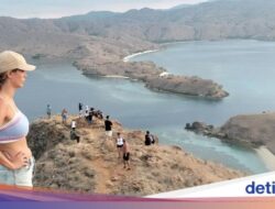 Terbangkan Drone Ke TN Komodo Ditarik Rp 2 Juta, Asosiasi Pilot Ketidak Setujuan!