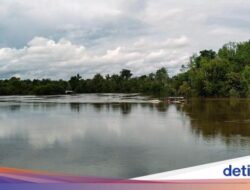 Menyelami Kebiasaan Global Suku Dayak dan Bertemu Orang Utan Di Sei Gohong