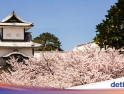 Kurs Mata Uang Jepang Memang Melemah, tapi Lonjakan Turisnya Catat Sejarah