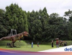 Papa Dino, Wahana Dinosaurus yang Terbaru Buka Hingga Puncak