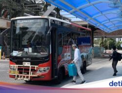 Trans Metro Dewata Setop Beroperasi, Niluh Djelantik-Robi Navicula Kecewa