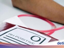 Viral Pemilik Goldar O Jarang Sakit-Tak Pernah Pingsan, Ahli Kebugaran PMI Bilang Gini