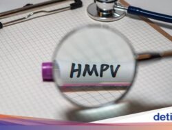 Ada 214 Peristiwa Pidana Hukum HMPV Di Jakarta Sebelum 2023, Simak Lagi Cara Pencegahannya