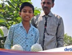 Budidaya Jambu Biji, Petani Ini Raih Omzet Rp 375 Juta Setahun