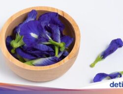 10 Manfaat Bunga Telang Sebagai Kesejaganan, Baik Sebagai Kulit dan Rambut