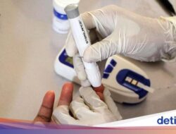 Cek Kesejajaran Gratis Dimulai 10 Februari, Begini Syarat dan Cara Dapatnya