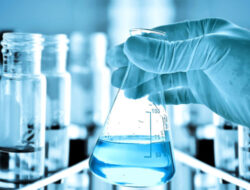 Cara Daftar Cek Keadaan Gratis Di Langkah dan Offline