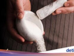 Pemerintah Tutup Perdagangan Masuk Negeri Garam, BPOM RI Soroti Dampaknya Di Industri Resep-Obatan