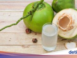 Manfaat Rutin Minum Air Kelapa, Termasuk Menjaga Kesejaganan Ginjal