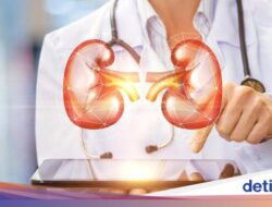 Tindak Kejahatan Langka, Pria Tertular Penyakit Menyebar Bakteri Kutu Untuk Donor Ginjalnya