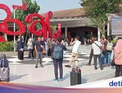 Bikin Resah, Banyak WNA Berkedok Investor tapi Malah Cari Kerja Di Bali