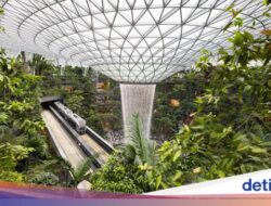 Telepon Genggam Hilang, Turis Inggris Ngamuk Di Bandara Changi, Didenda Rp 62 Juta
