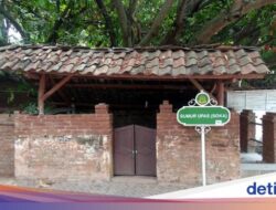 Ada yang Beracun dan Tidak Pernah Kering